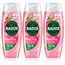 RADOX MINERAL THERAPY FEEL UPLIFTED SHOWER GEL GRAPEFRUIT & GINGER  225ML x3