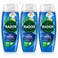 Radox Mineral Therapy Feel Awake Shower Gel with Mood Boosting Fragrance 225mlX3