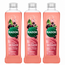 Radox 100% Nature Inspired Fragrance Bath Soak Feel Detoxed 3 Pack 500ml