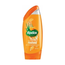 Radox Feel Revived Shower Gel 250ml in UK