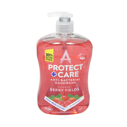 Astonish Protect+Care Fragrant Berry Fields Anti-Bacterial Handwash 650ml in UK