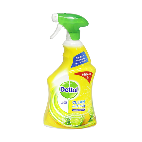 Dettol Power & Fresh Advanced Citrus Spray 1L in UK