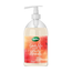 Radox Care + Nourish Anti-Bacterial Handwash 500ml in UK