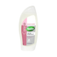 Radox Care+Moisturise Anti-Bacterial Handwash 250ml