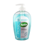 Radox Protect + Replenish Anti-Bacterial Hand Wash 250ml in UK