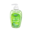 Radox Protect+Refresh Anti-Bacterial Handwash 250ml in UK