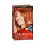 Revlon Colorsilk Beautiful Color Bright Auburn 45 in UK