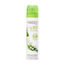 Yardley Lily Of The Valley Deodorising Body Spray 75ml in UK